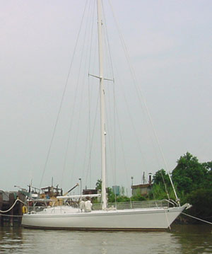 Sly Mongoose starboard side