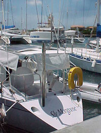 Sly Mongoose transom