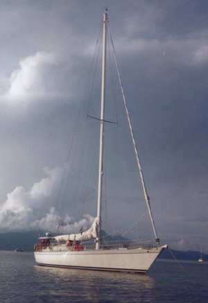 Sly Mongoose 54' Derecktor